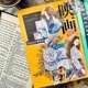 [丁丁DingDing] #20 動靜之間 マットPETテープ(剥離紙付き)