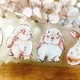 [丁丁DingDing] A34 兔嘰 ダイカットマットPETテープ(剥離紙付き)