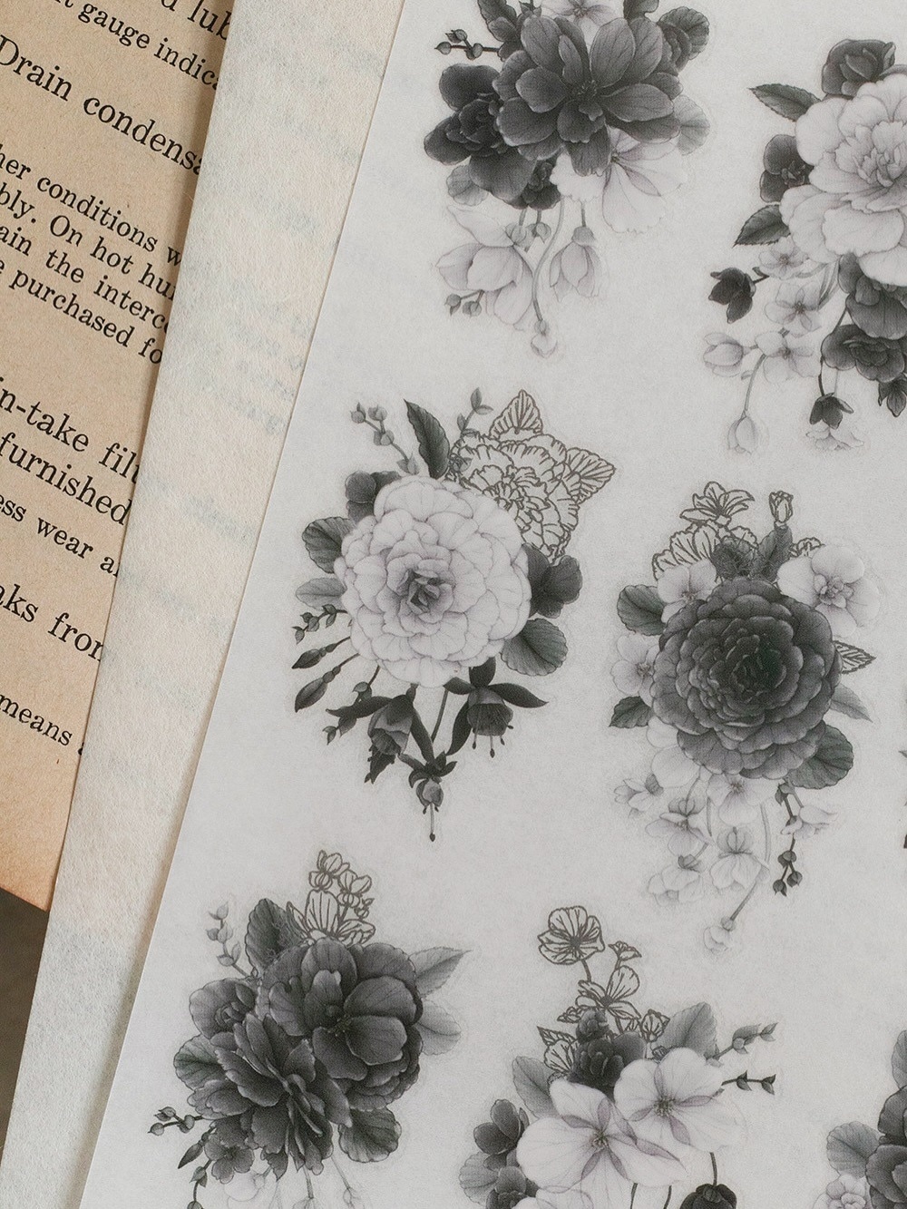 [樂意Loidesign] 黑白海棠 Black & White Begonia 転写シール(3種類各1枚入)