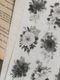[樂意Loidesign] 黑白海棠 Black & White Begonia 転写シール(3種類各1枚入)