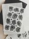 [樂意Loidesign] 黑白海棠 Black & White Begonia 転写シール(3種類各1枚入)