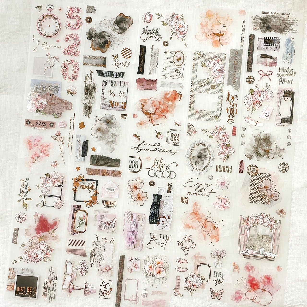 pion PETテープ 透明剥離紙 柿本芳恵 pion PETテープ 透明剥離紙 柿本芳恵