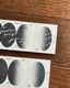 [羊君Somesortoffern] 橢圓 the shape of oval コラージュ ラベルブック(各50枚)