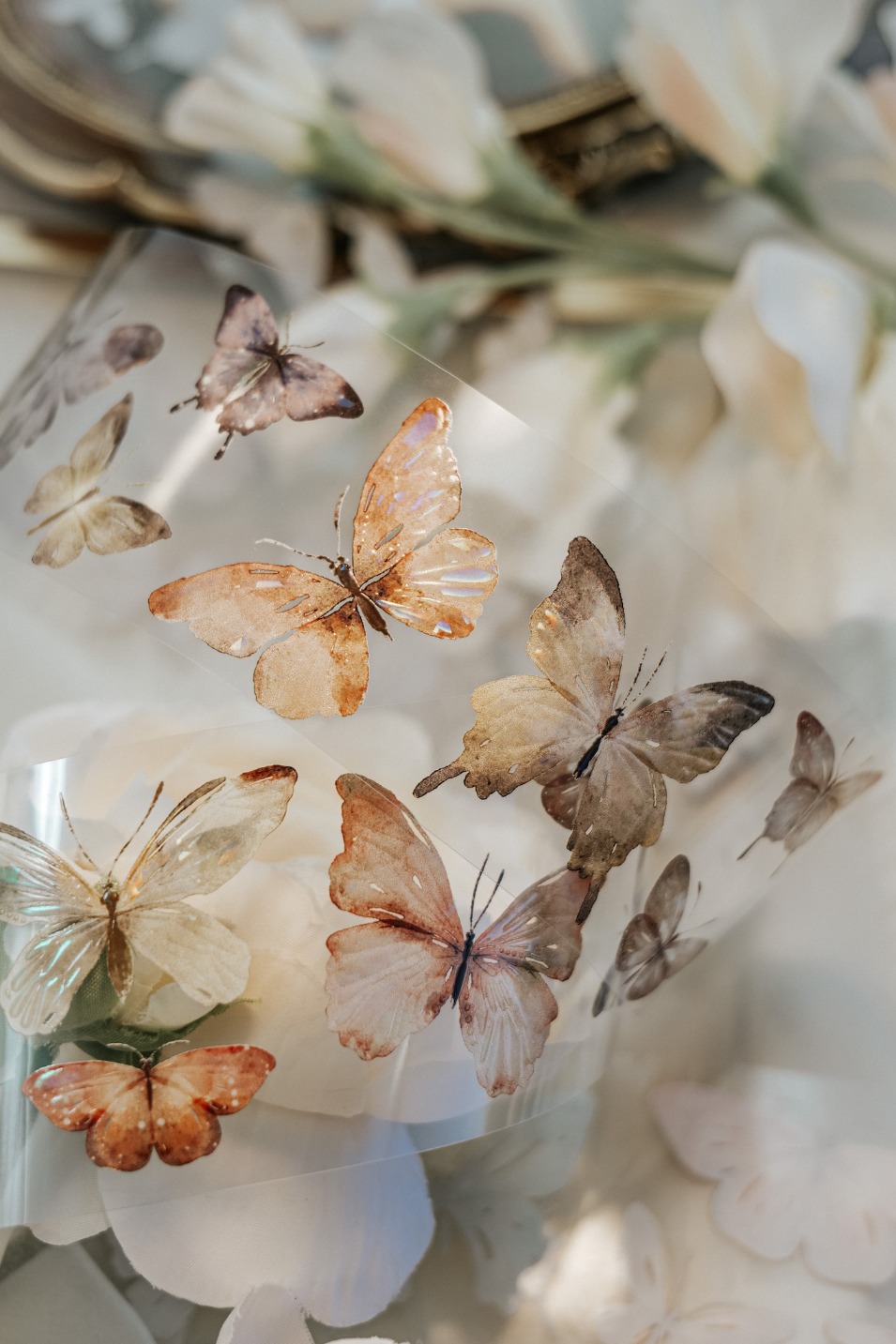 [Meow Illustration] 彩斑羽蝶 Beautiful Butterfly クリアPETテープ(貝殻光、剥離紙付き)