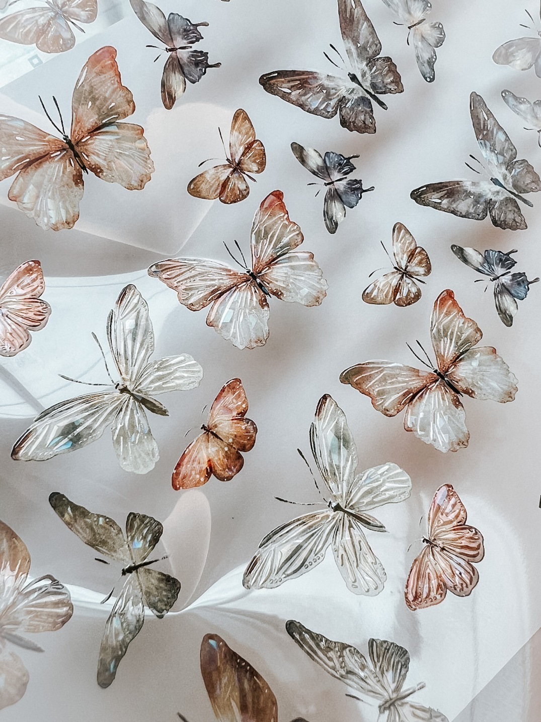 [Meow Illustration] 彩斑羽蝶 Beautiful Butterfly クリアPETテープ(貝殻光、剥離紙付き)