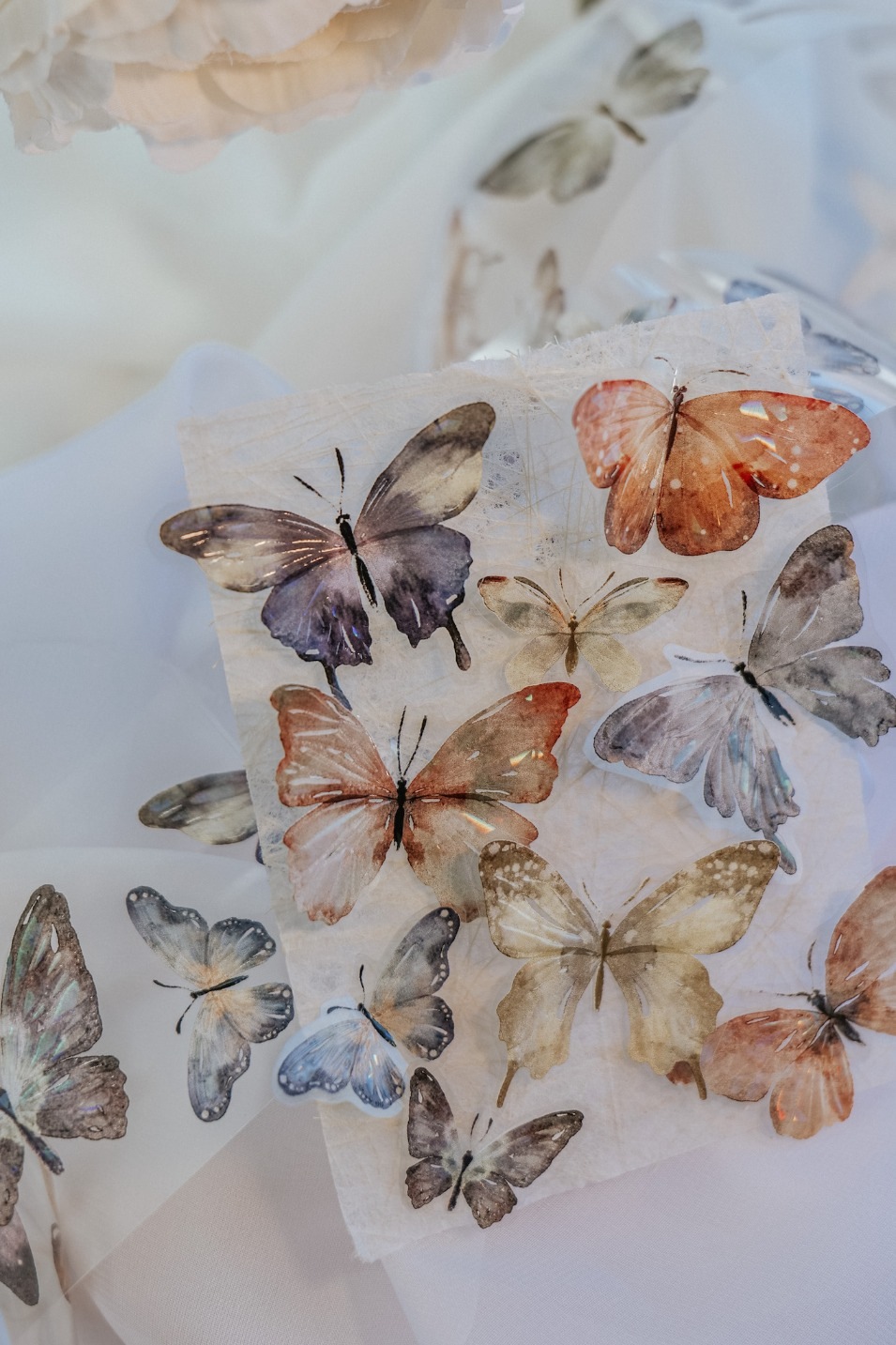 [Meow Illustration] 彩斑羽蝶 Beautiful Butterfly クリアPETテープ(貝殻光、剥離紙付き)