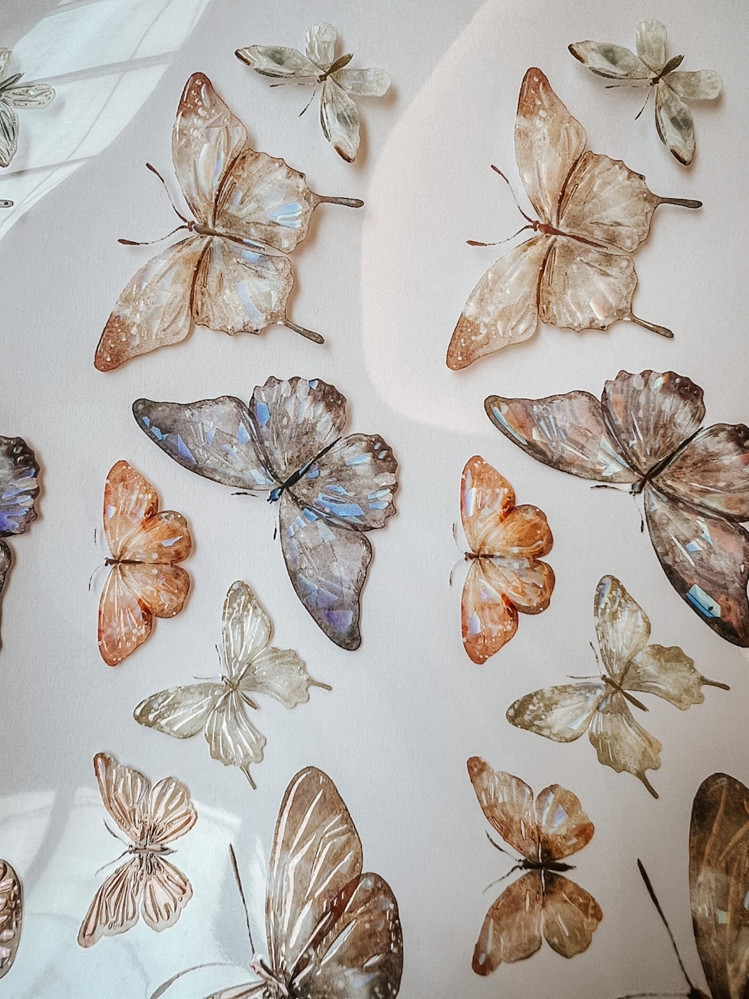 [Meow Illustration] 彩斑羽蝶 Beautiful Butterfly クリアPETテープ(貝殻光、剥離紙付き)