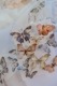 [Meow Illustration] 彩斑羽蝶 Beautiful Butterfly クリアPETテープ(貝殻光、剥離紙付き)