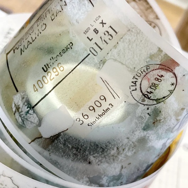 [Plusminus] POLYCHROME マットPETテープ(剥離紙付き)