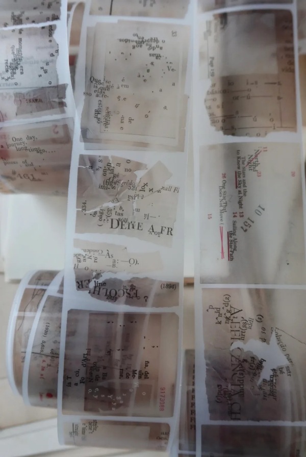 [Plusminus]  WORDS マットPETテープ(剥離紙付き)