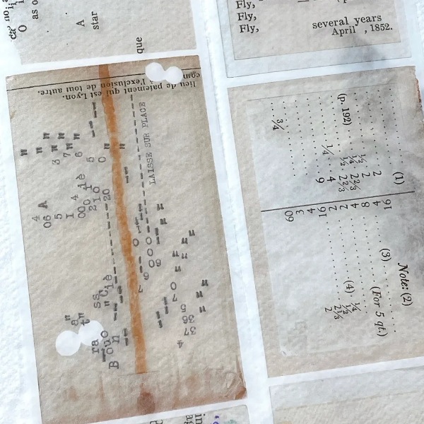 [Plusminus]  WORDS マットPETテープ(剥離紙付き)