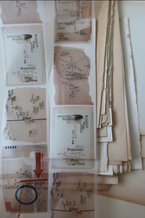 [Plusminus]  WORDS マットPETテープ(剥離紙付き)