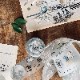 [羊君Somesortoffern] Travel around. マットPETテープ(剥離紙付き)