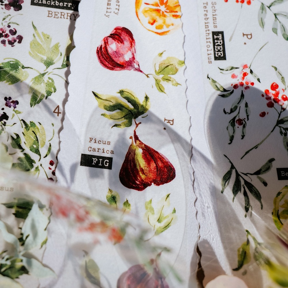 [Meow Illustration] 香氣研究所.果 Scent Fruity 1 クリアPETテープ(剥離紙付き)