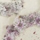 [樂意Loidesign] 粉色聖誕(Pink Xmas) 花柄 クリアPETテープ(剥離紙付き)