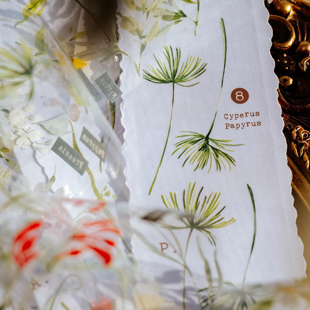 [Meow Illustration] 香氣研究所.花 Scent Floral 2 クリアPETテープ(剥離紙付き)