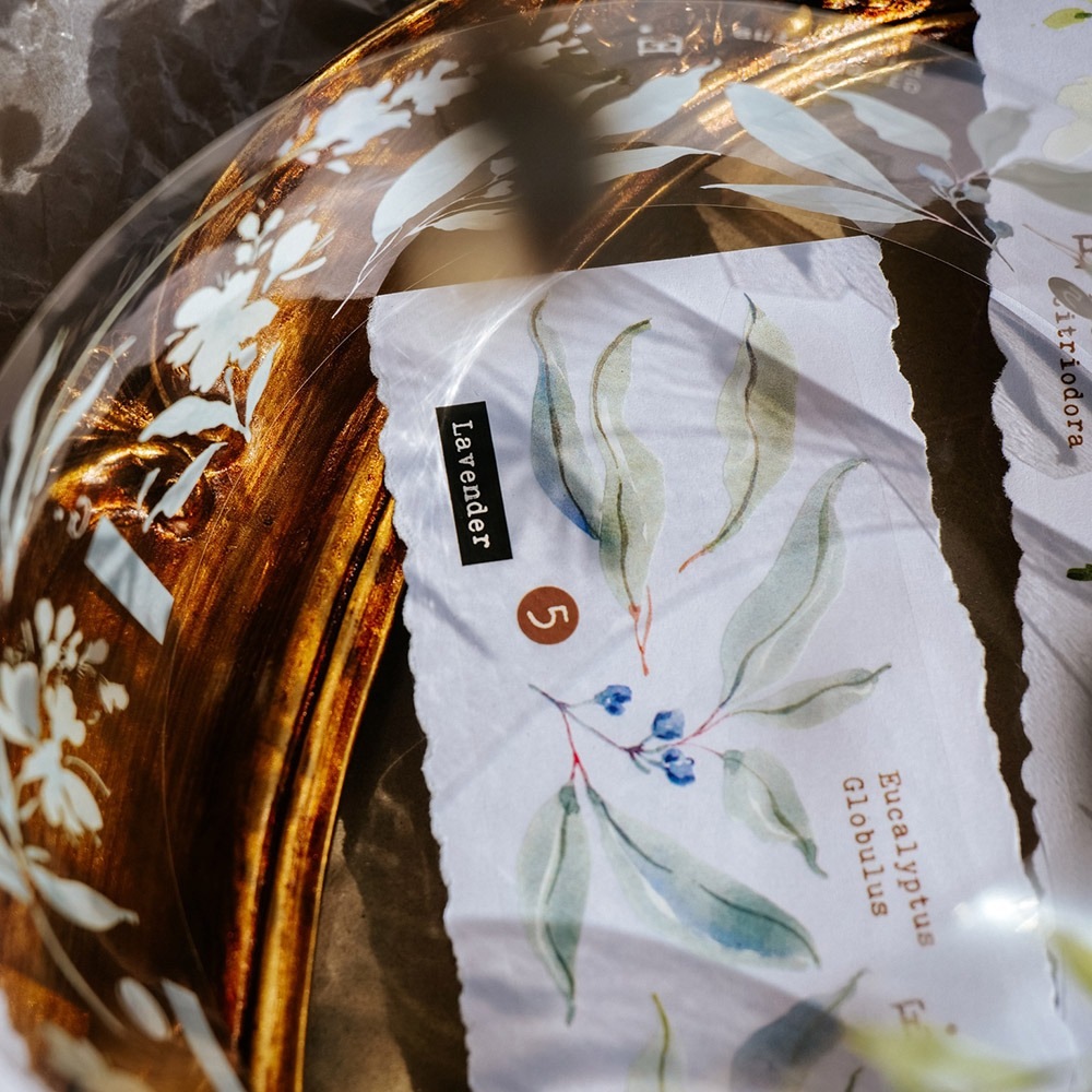 [Meow Illustration] 香氣研究所.花 Scent Floral 2 クリアPETテープ(剥離紙付き)