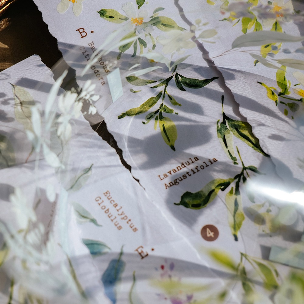 [Meow Illustration] 香氣研究所.花 Scent Floral 2 クリアPETテープ(剥離紙付き)