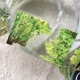 [丁丁DingDing] #33 春意濃 ダイカットマットPETテープ(剥離紙付き)