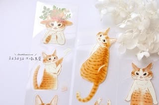 [補補猫・大衛煮愛] 米亞小姐 ダイカットクリアPETテープ(剥離紙付き)