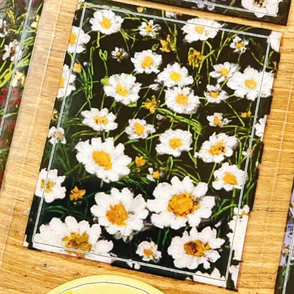 [黙代誌] 花間 クリアPETダイカットテープ(剥離紙付き)