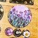 [黙代誌] 花間 クリアPETダイカットテープ(剥離紙付き)
