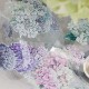 [樂意Loidesign] 雨色(Rain color) 紫陽花柄 クリアPETテープ(剥離紙付き)