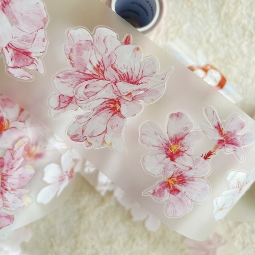 [丁丁DingDing] A44 緋緋 ダイカットマットPETテープ(剥離紙付き)