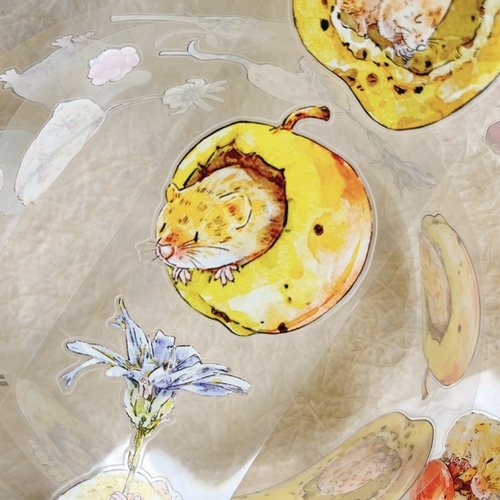 [丁丁DingDing] A47 吱吱 ダイカットマットPETテープ(剥離紙付き)