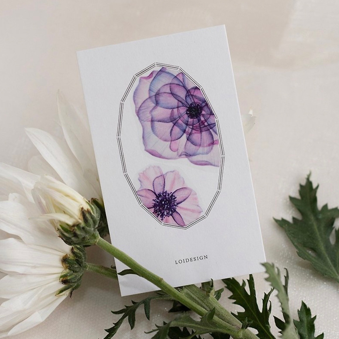 樂意Loidesign]翦花 Begonia ベゴニア花柄 クリアPET/マットPET/和