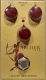J Rockett Audio Designs/Tour Series ARCHER IKON アーチャーアイコン【ロケットペダル】|ROCKETT PEDALS|Effectors