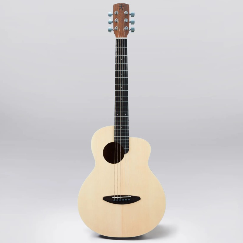 大人気 aNueNue aNN-M1 BirdGuitar ミニアコースティックギター ギター