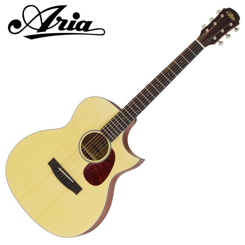 ARIA エレアコ Aria-101CE MTN (Natural, Matt) アリア | すべての商品