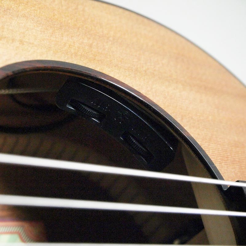 aNueNue Bird Guitar Series aNN-MN14E エレガットモデル〈アヌエヌエ