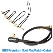 EBS PCF-PG10 Premium Gold Flat 10 ѥå֥ҥӡ