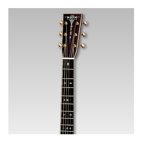 ASTURIAS E.C. PRO アコースティックギター〈アストリアス