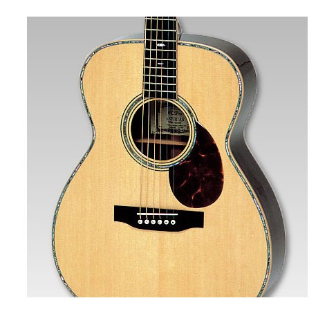ASTURIAS E.C. PRO アコースティックギター〈アストリアス