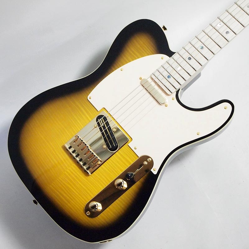 Fender Ritchie Kotzen Tele リッチー・コッツェン〈フェンダー