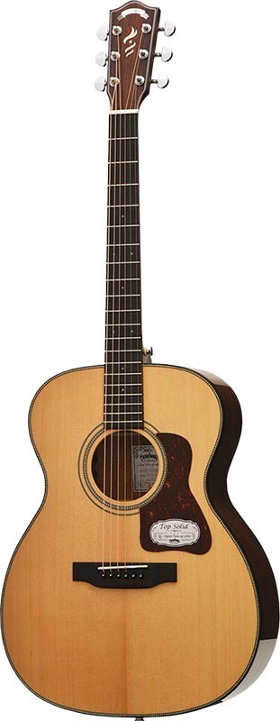 HEADWAY Japan Tune-up series HF-5080SE エレアコ〈ヘッドウェイ