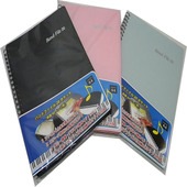 �Х�ɥե����� BF-20 20P (����40�ڡ���ʬ�� ����ե������A4����������󥰥�����)