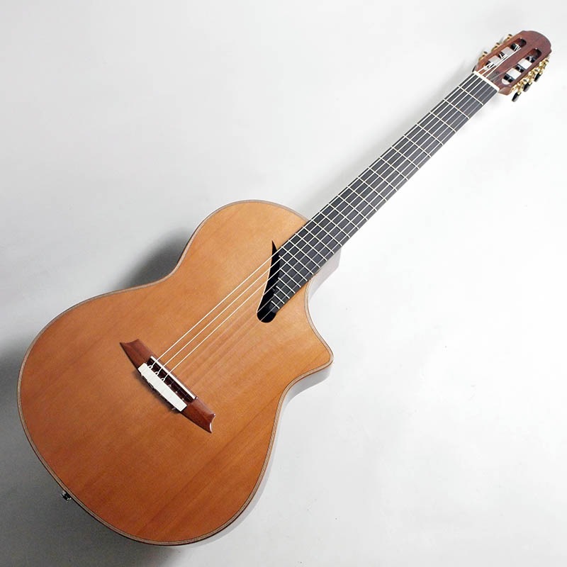 Martinez MSCC-14 RSエレガットギター 限界点値下げ中！ Yahoo!オークション - Martinez / MSCC-14 RS エレガット