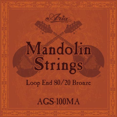 ARIA/�ޥ�ɥ�� AGS-100MA�ҥ��ꥢ��