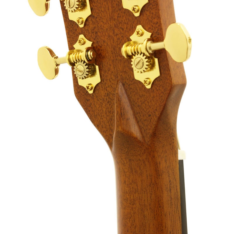 ARIA AF-505 Auditorium Aria Dreadnought 500シリーズ アコ