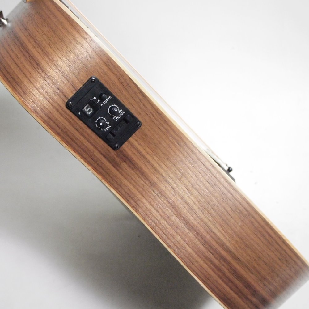 Taylor Baby Taylor-e 3/4サイズ・ミニギター ES-Bピックアップ搭載