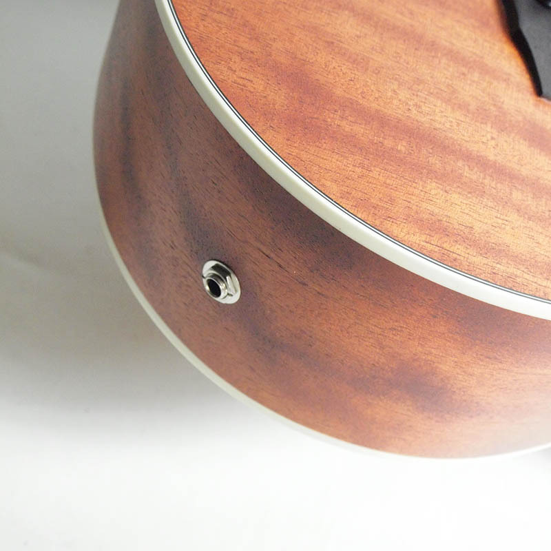 PNB14E | ACOUSTIC BASS | ACOUSTIC GUITARS | PRODUCTS