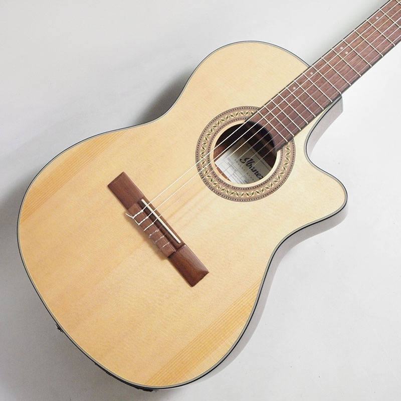 外観美品・ジャンク】アイバニーズ GA-30TCE/NT エレガット