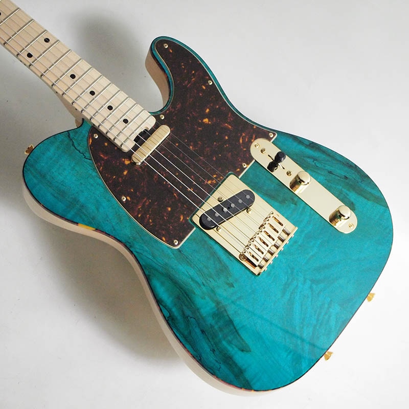 SCHECTER/エレキ PS-PT-SP/OGR/M OGR(Ocean Green)【シェクター
