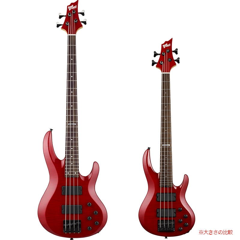 ESP×バンドリ ! コラボレーション BTL LISA Mini Roselia 今井
