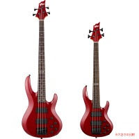 ESP×バンドリ ! コラボレーション BTL LISA Mini Roselia 今井リサ