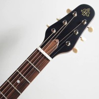 ESP/Charプロデュース BambooInn-CE STBK See Thru Black バンブーイン